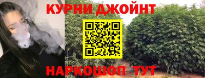 стафф Будённовск