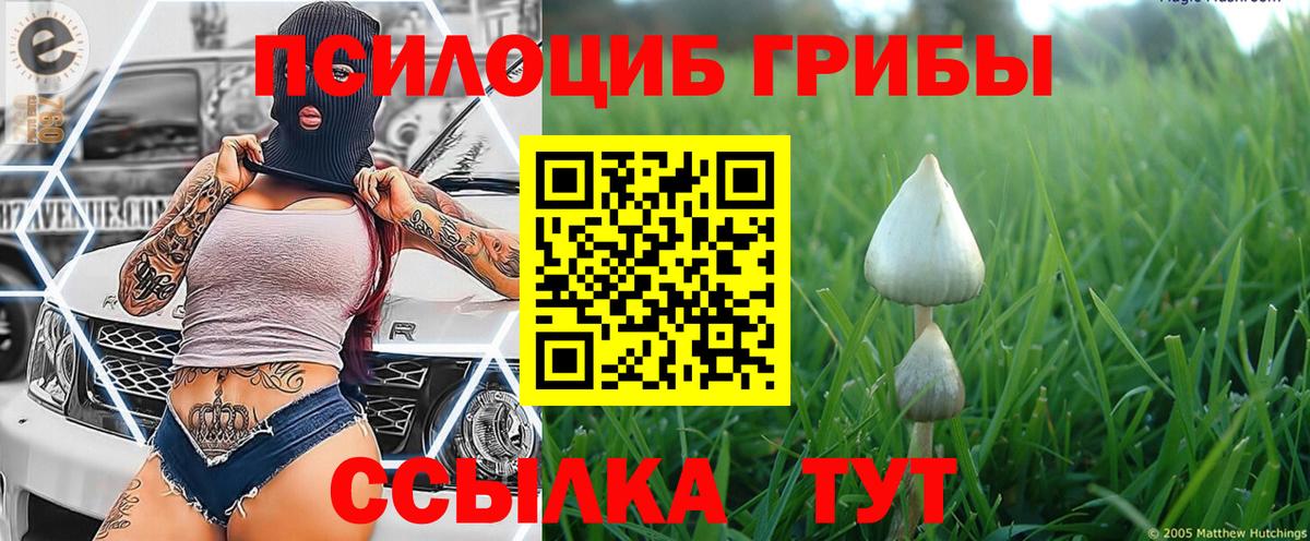 Псилоцибиновые грибы Psilocybine cubensis  Вход с VPN  наркошоп  Вологда 